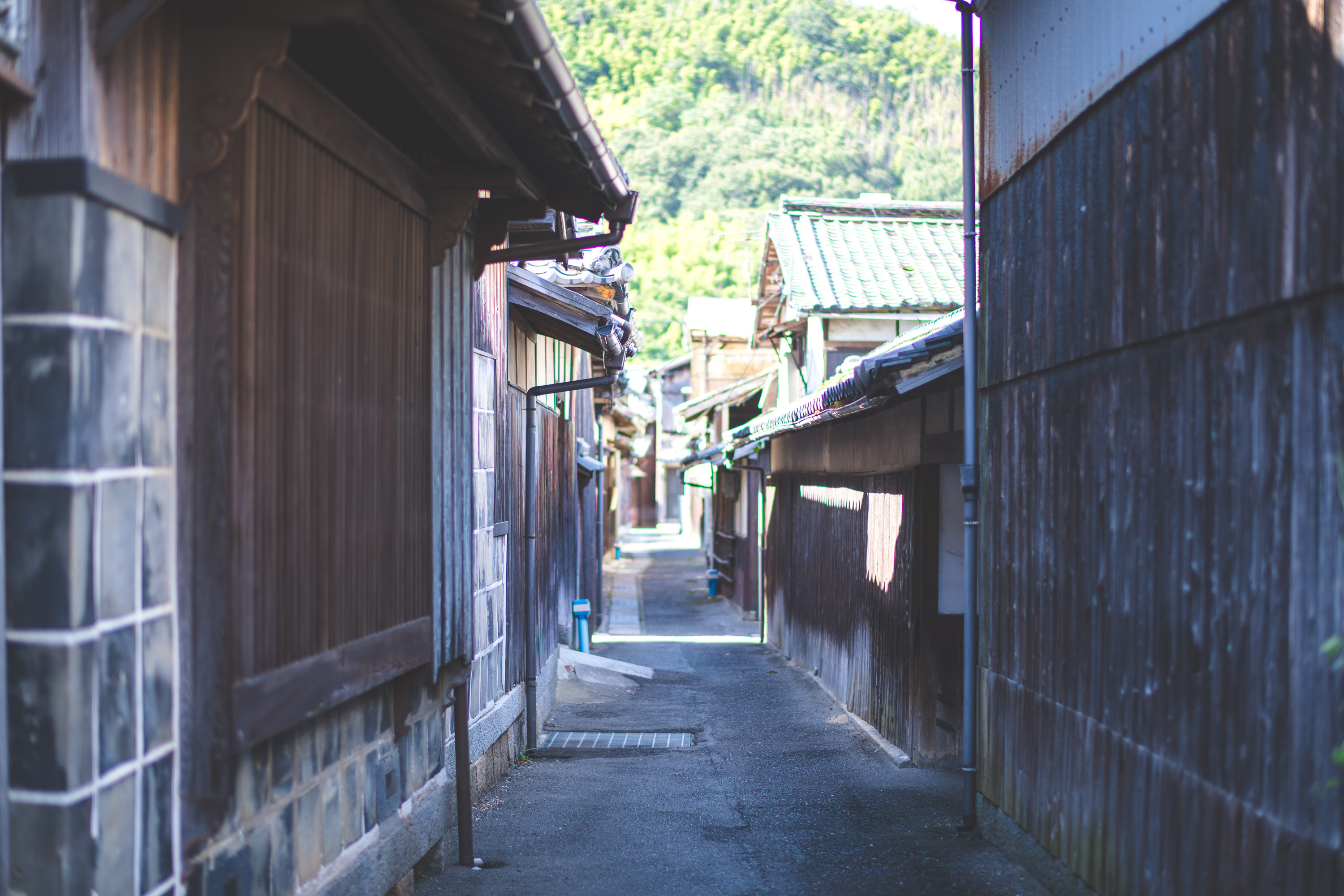 縫う/武田店のこと